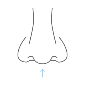 Graphic with Arrow Pointing to Tip of Nose